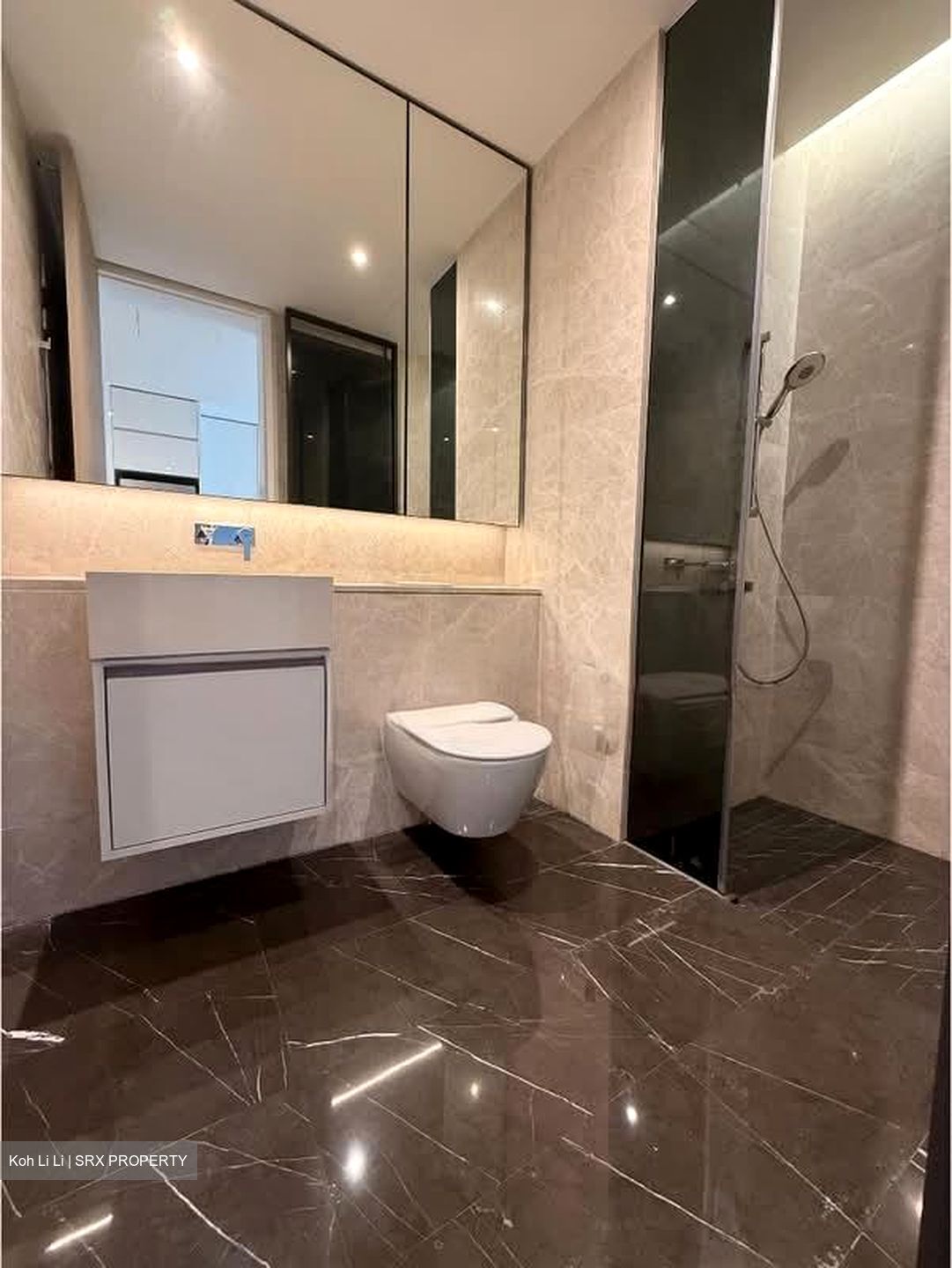 Amber Park (D15), Condominium #584458531